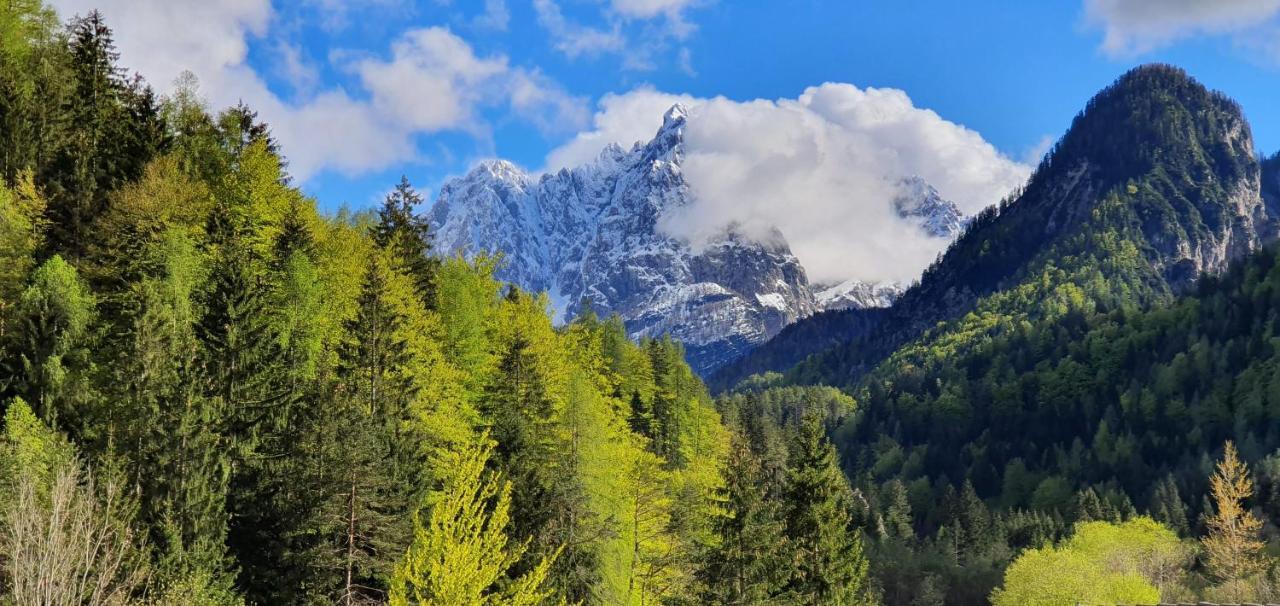 Apartment Alpska Astra Kranjska Gora Dış mekan fotoğraf