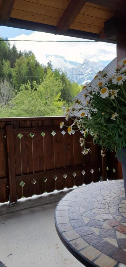 Apartment Alpska Astra Kranjska Gora Dış mekan fotoğraf